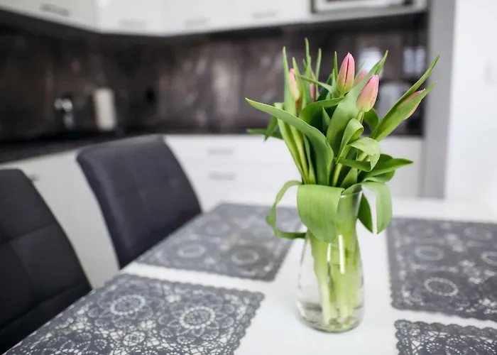 Kopernika, Sun & Snow